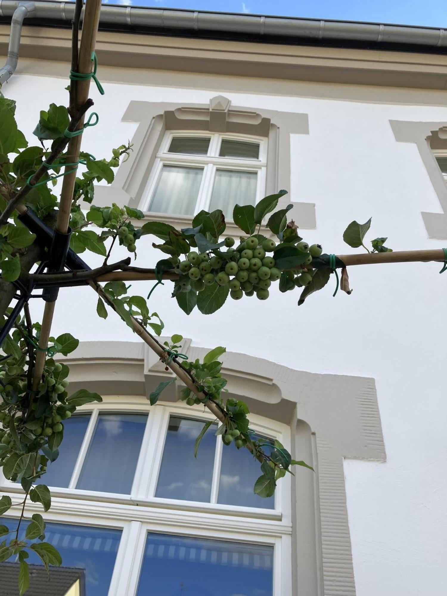 Gästehaus Cantzheim Kanzem Exterior foto